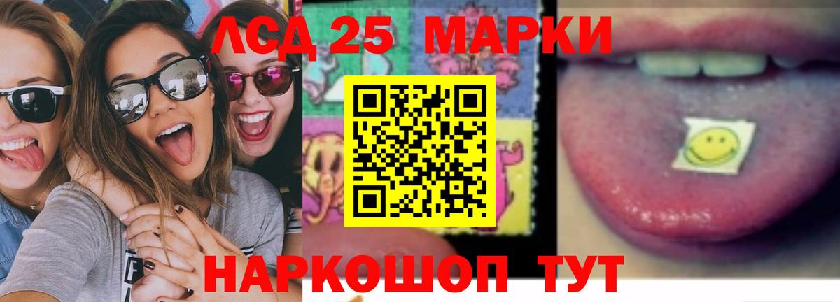 Галлюциногенные грибы Карпинск