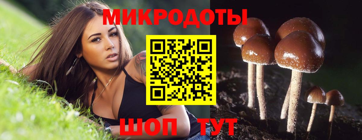 Псилоцибиновые грибы ЛСД  Вход с VPN  Карпинск 